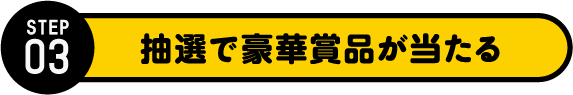 STEP3 抽選で豪華賞品が当たる