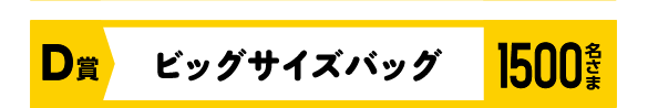 D賞 ビッグサイズバッグ 応募1 1,500名さま