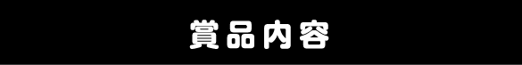 賞品内容